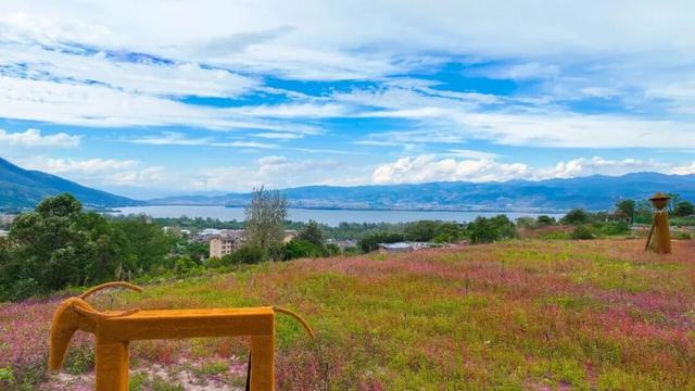 别信秋天萧瑟！凉山的花：我们才是秋天的“显眼包”