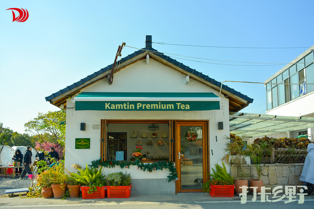 打卡乡野丨新年第一站，去上海离宇宙最近的村子，仰望星空，脚踏田野，开启元气新年