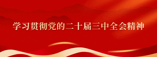 宁德1地政府食堂向游客开放，这波“宠客”操作太棒了！