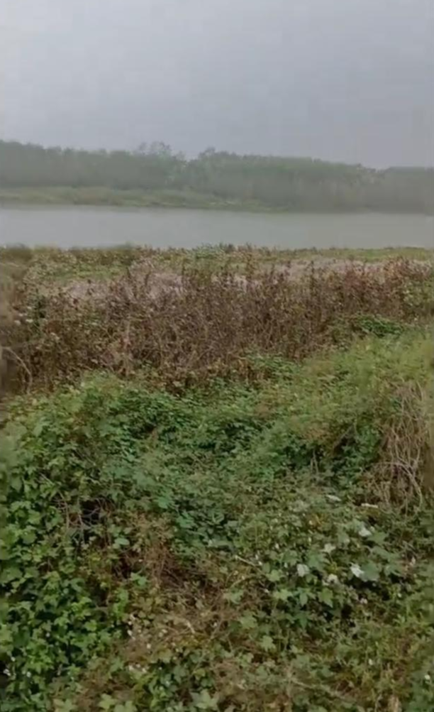 先拿谅解书才出治疗费？“夜钓遭枪击”细节披露：4人发现打的是人，当场逃跑，没有施救、打120，伤者强撑回家后抽搐倒地