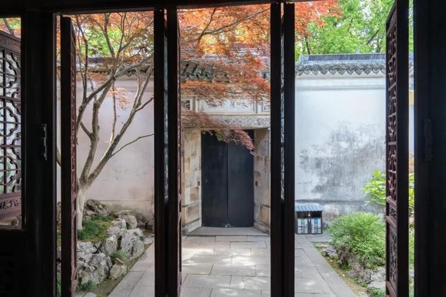 周末去打卡丨红了！吴江追“枫”宝典请收藏