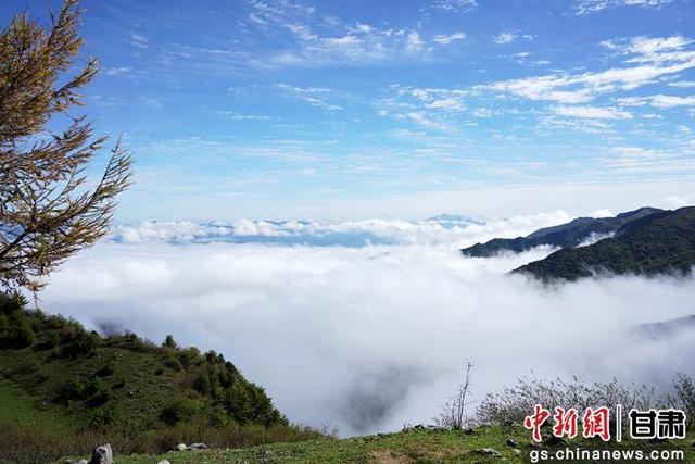 武都千坝草原秋景如画 美不胜收