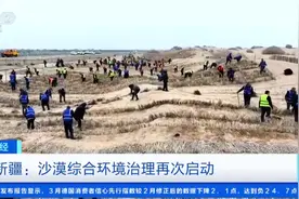 新疆再次大规模启动沙漠综合环境治理图片
