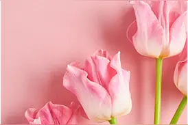 三八妇女节惠民活动一整周，解锁素颜发光肌图片