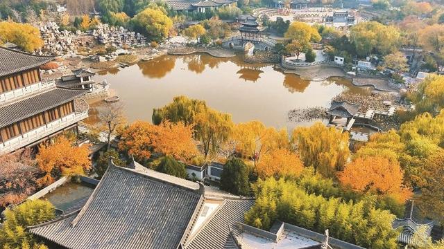 美在邯郸 | 清浅冬韵入园林