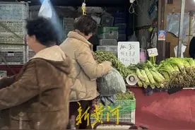 春意正浓，荠菜飘香，记者走访市场上“舌尖的春天”图片