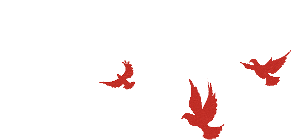 12.13，邀您共赴一场庄严纪念