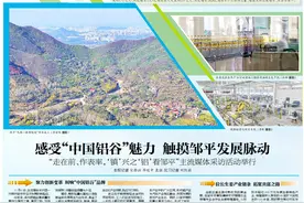 感受“中国铝谷”魅力 触摸邹平发展脉动图片