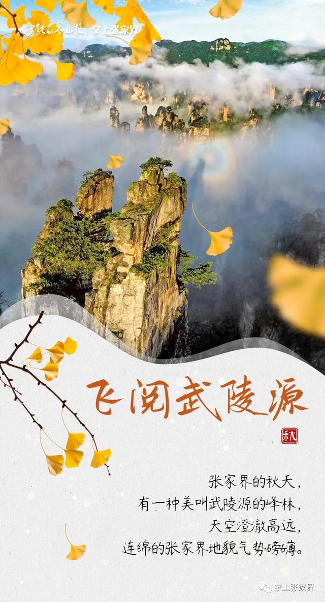 周末去哪玩丨跟着湘超株洲队，领略张家界的秋韵