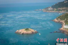 浙江嵊泗公开“生态家底”：1248种生物勾勒海岛特色图景图片