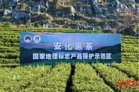 安化县，国家知识产权强县建设试点县！图片