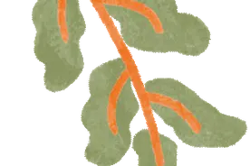 徐汇区因病支出型困难家庭关怀帮扶办法（暂行）图片