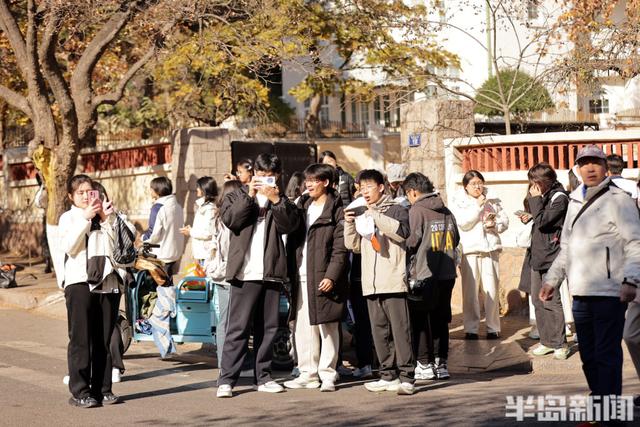 八大关枫叶抓紧看