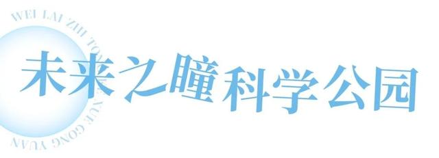 周末必打卡！西安4个雨天氛围感公园→
