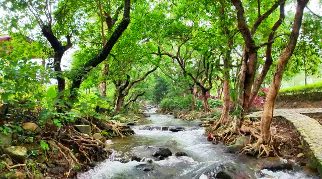 超全！肇庆最新玩水胜地合集！地点↘