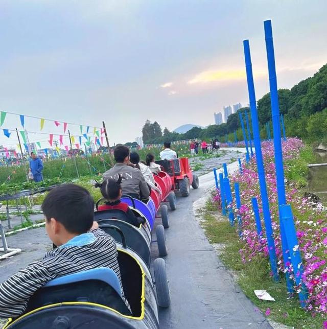 藏不住了！新会人身边的“欢乐农场”！