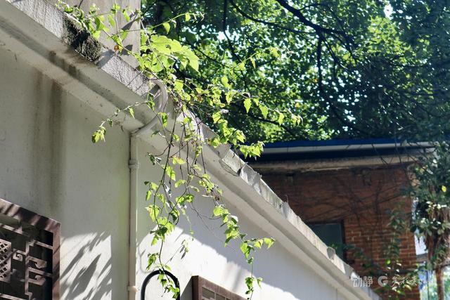 贵阳巷里走丨豆腐巷：在砖石豆香间，打捞六百年光阴