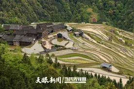 贵州从江：加榜梯田春耕忙图片