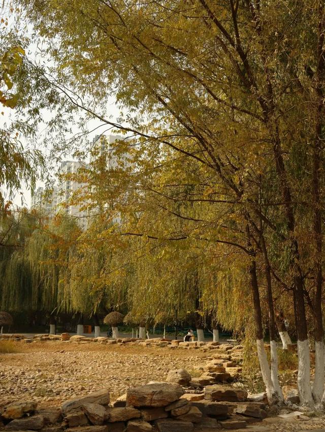 听，呼和浩特秋天的BGM正在你耳边播放