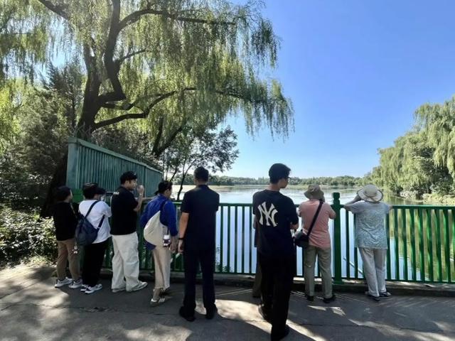 锐评｜变矮的栏杆，也是一份“文明契约”