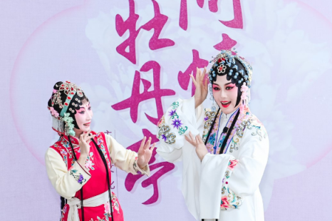 超全攻略！想在花海中阅读，来这里就对了