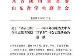 烟台南山学院在2024年山东省“三下乡”社会实践活动中斩获多项省级表彰图片