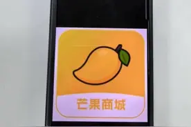 高利贷披上“租借手机”外衣，借14万还42万！上海警方破获全市首例“租机贷”图片