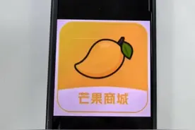 高利贷披上“租借手机”外衣，借14万还42万！上海警方破获全市首例“租机贷”图片