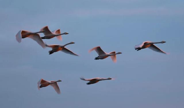 冬韵染南海 一帧一景皆画境