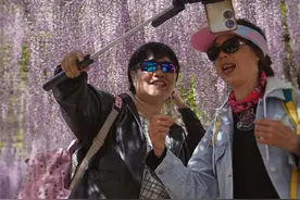 新闻8点见丨玉渊潭公园紫藤鸢尾登场；她为上千个家庭种下“风信子”图片