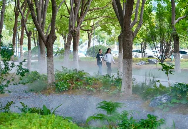 城市密林→童话森林！蜀山这片“雾森绿谷”美出圈