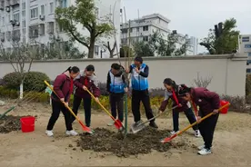 100张心愿牌挂满树苗，他们为校园添上一抹绿色图片