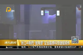 张江AI制药“独角兽”企业晶泰科技捷报频传视频封面