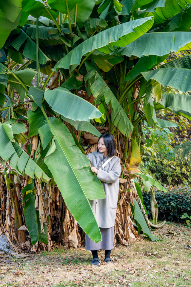 东湖「巨物」图鉴，打卡XXXXL号视觉震撼！