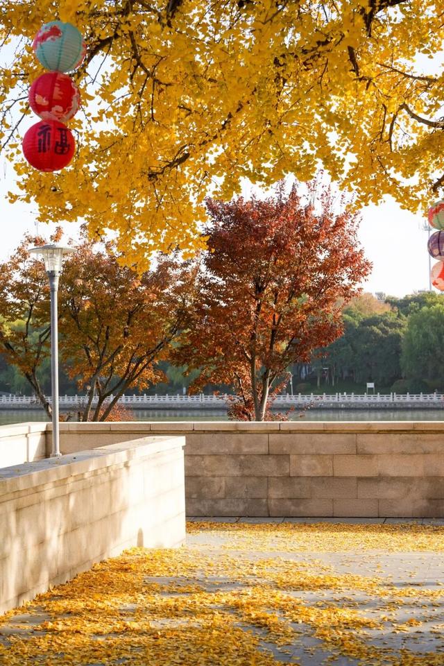 出片率100%！海陵“含金量”在上升！