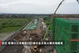 海口江东新区CBD南片区路网、学校、住宅项目火热建设中图片
