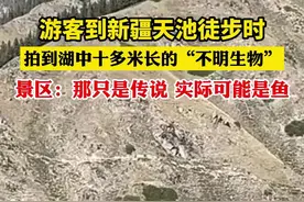 游客到新疆天池徒步时，拍到湖中十多米长的“不明生物”，景区：那只是传说 实际可能是鱼@小池图片