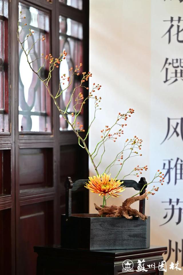 苏州的秋天，给你点“颜色”看看！