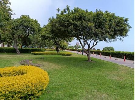 秘鲁：混搭文化背后的多元融合