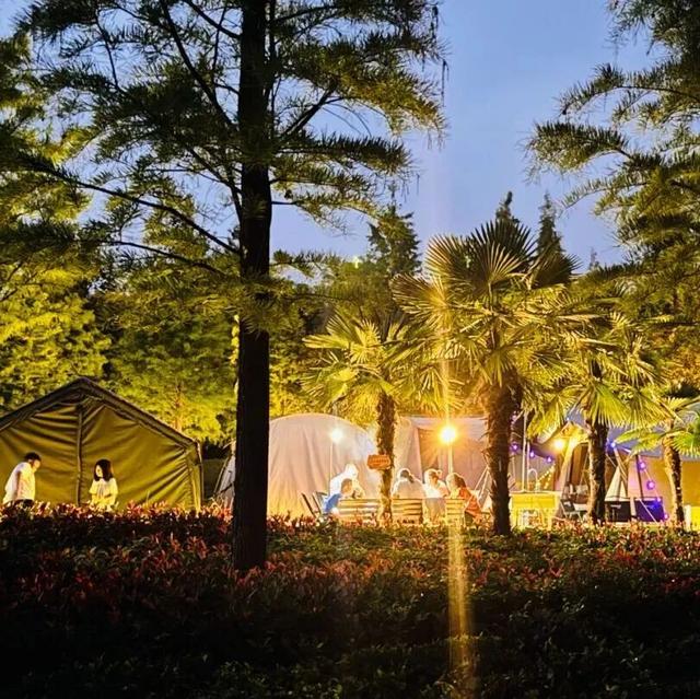 重返20°C+，洛阳极品好天气！速速出门！