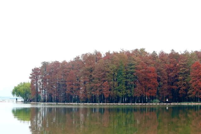 人少景美！洪山5处打卡地，周末约起