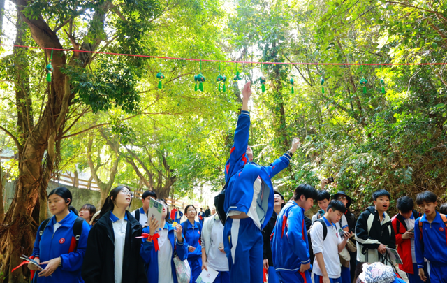 鼎湖山研学爆单了！已超3.8万人打卡