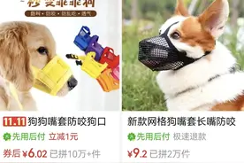 有网店狗嘴套卖出百万+，防爆冲牵引绳热卖，一套了之就行吗图片