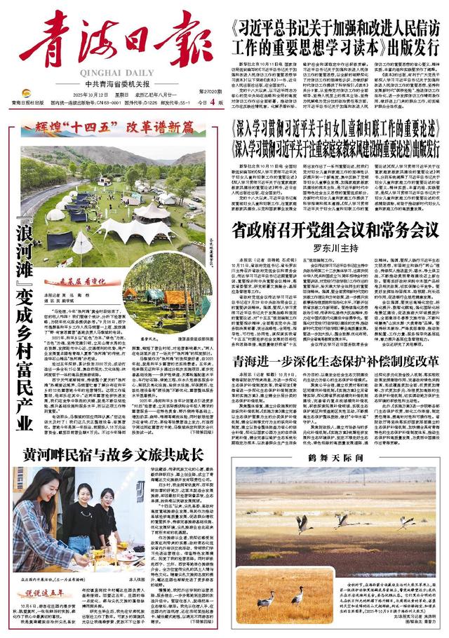 黄河畔民宿与故乡文旅共成长