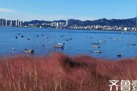 秋天的色彩！图片