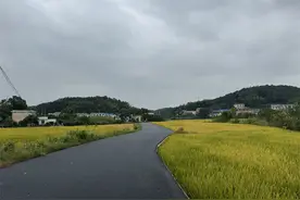 湘江新区坪塘街道莲花山村：解民忧 暖民心 绘就民生“幸福路”图片