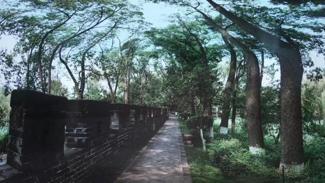 “种草”新都！裸眼3D带你沉浸式体验美景