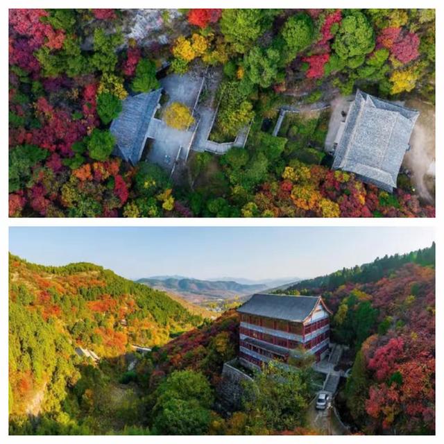 “泉”在济南享金秋——“一城山色·登山打卡”带你来赏红叶啦！