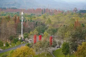 成都东软学院校园景色图片