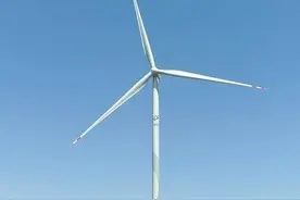 【天眼问法】风力发电超红线用地引发“法治之辩”：顶格处罚还是降格处罚？图片